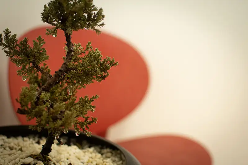 Despacho AVILA POSADA Abogados - Área de trabajo profesional